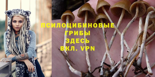 2c-b Навашино
